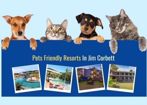 Pet Friendly Resorts In Jim Corbett