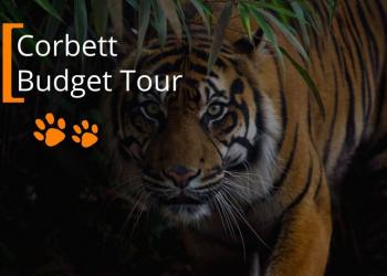 Corbett Budget Tour